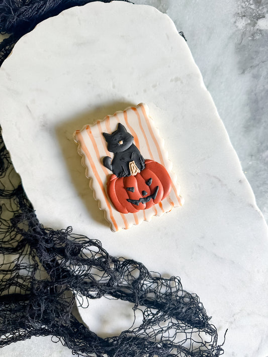 Pumpkin cat